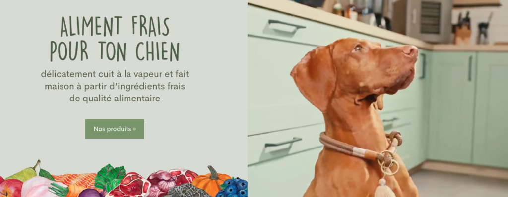 test avis Fidelis repas frais chien