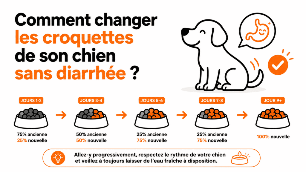 Comment changer les croquettes de son chien sans diarrhée ?