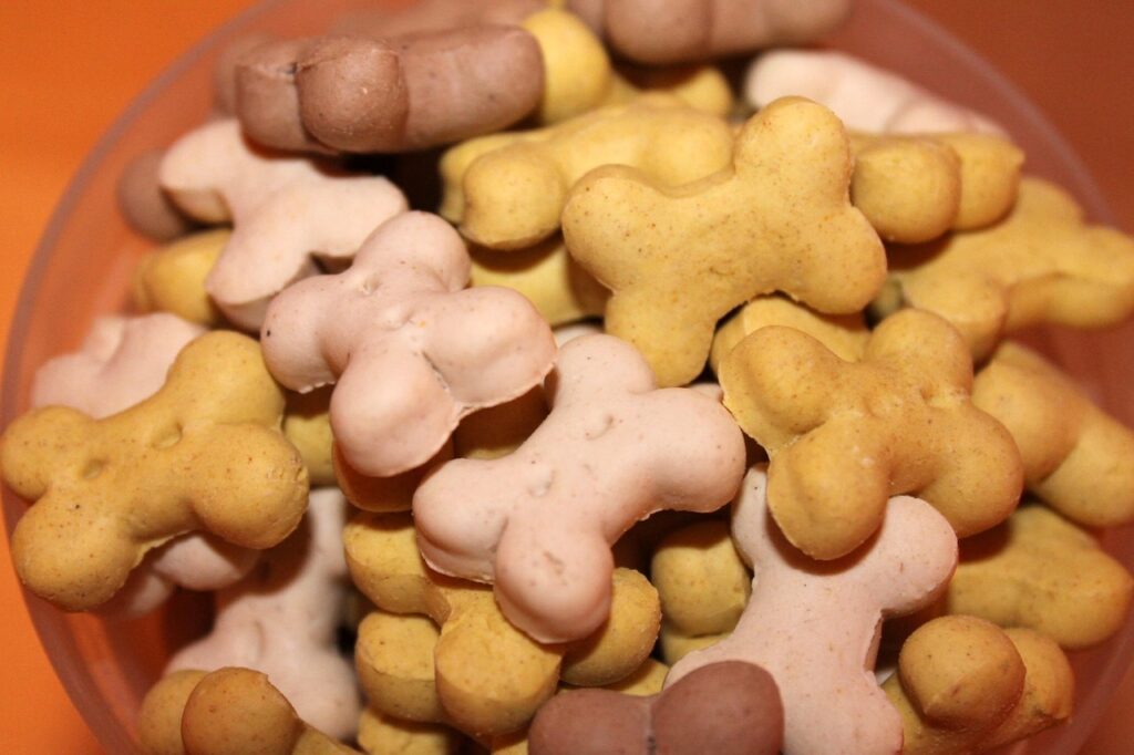Bien choisir les friandises naturelles de son chien : nos conseils